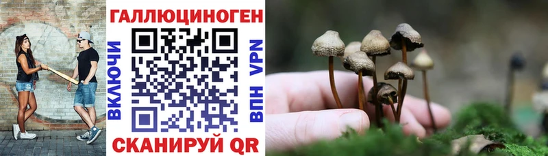 блэк спрут ССЫЛКА  Светлоград  Псилоцибиновые грибы Psilocybe 